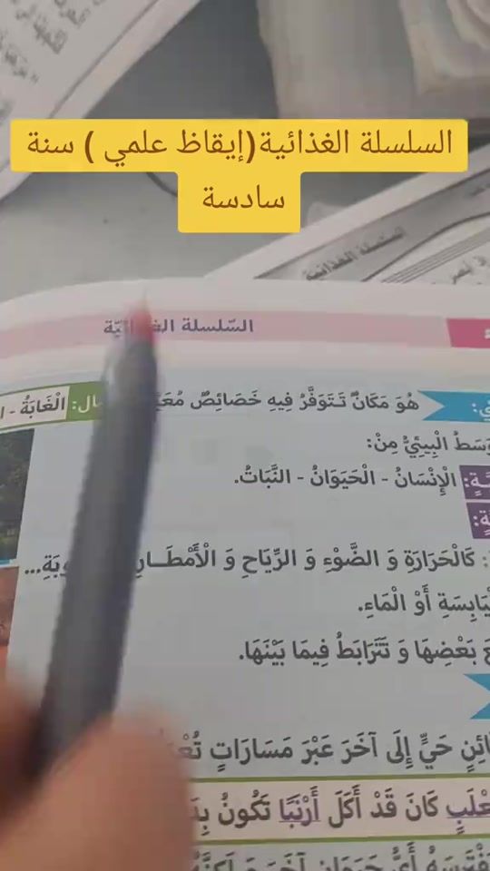 TikTok video thumbnail by sandra.celine