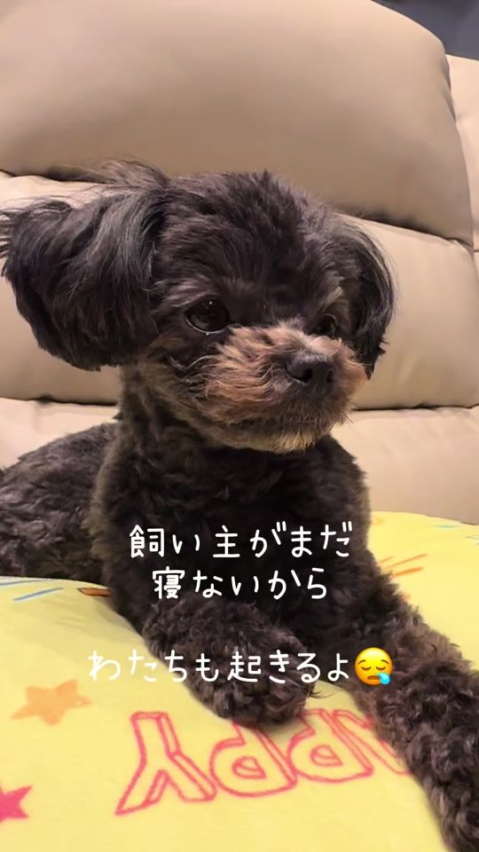 TikTok video thumbnail by su_zucha