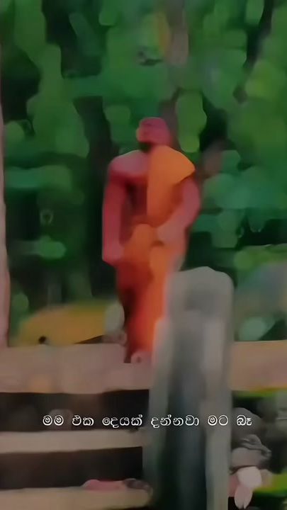 TikTok video thumbnail by rev.e.nant_69