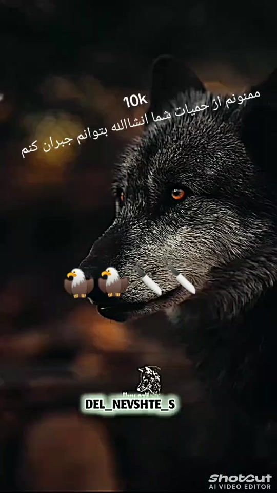 TikTok video thumbnail by user7781027345706
