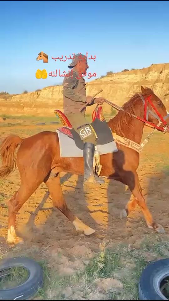 TikTok video thumbnail by mourad.nafti6