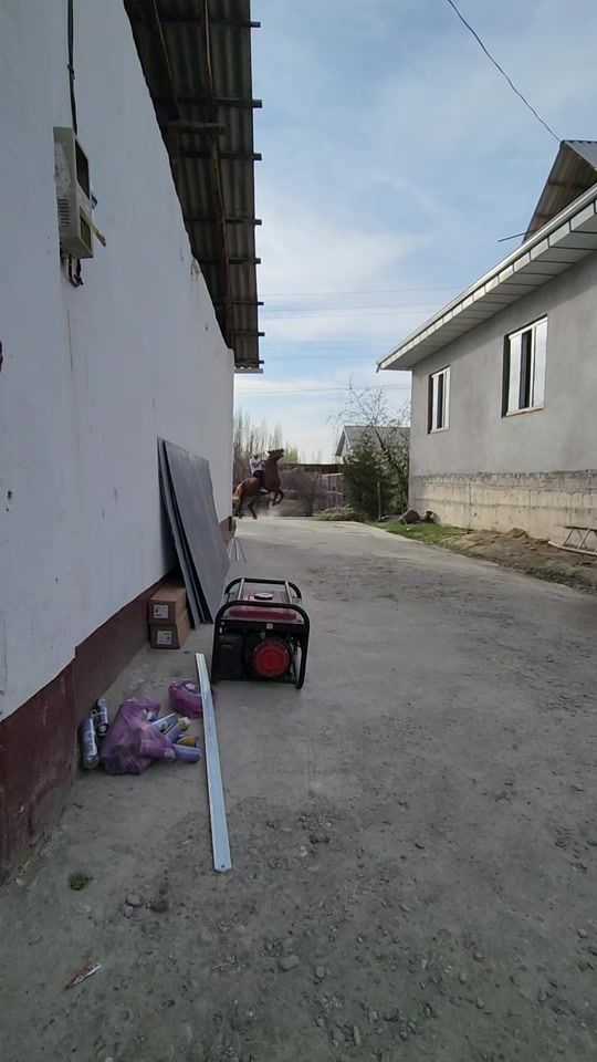 TikTok video thumbnail by elaman_evropa