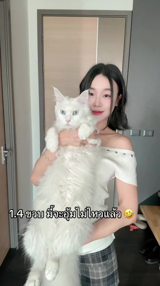 TikTok video thumbnail by monriecatty
