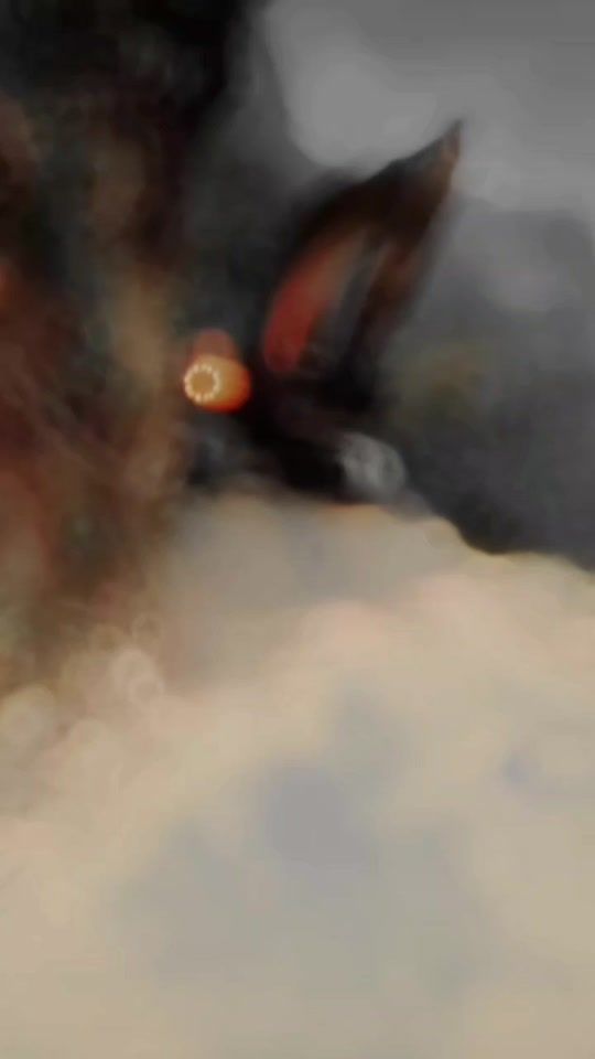 TikTok video thumbnail by susanbaskota8