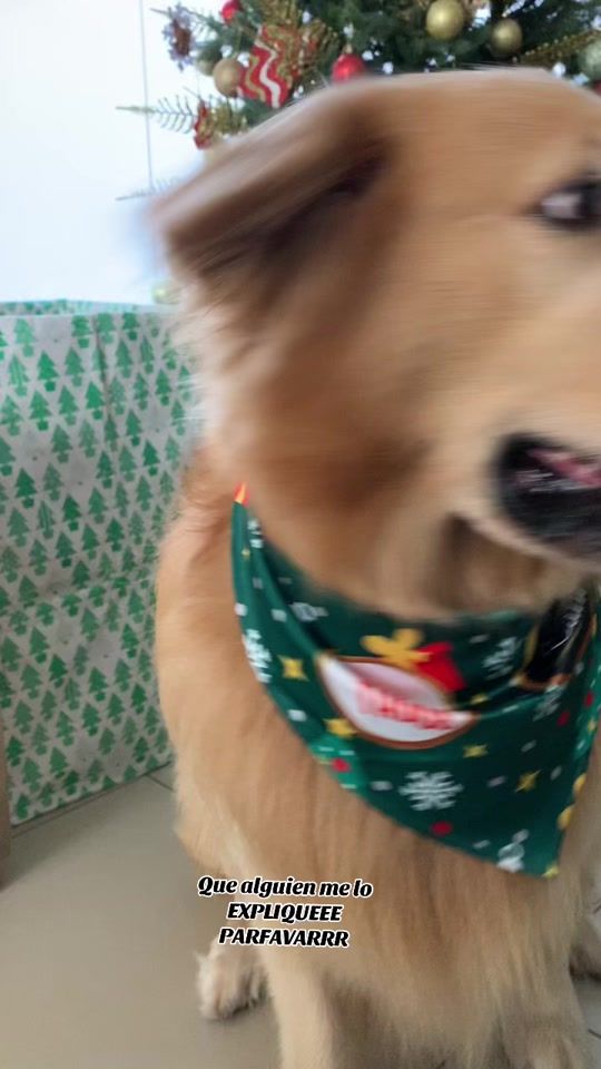 TikTok video thumbnail by dartagnan_mc