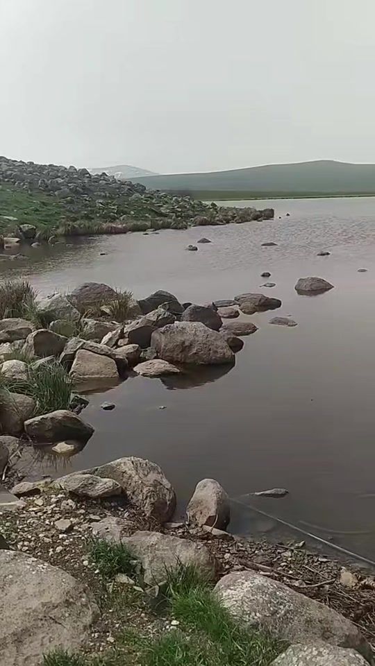 TikTok video thumbnail by umu661