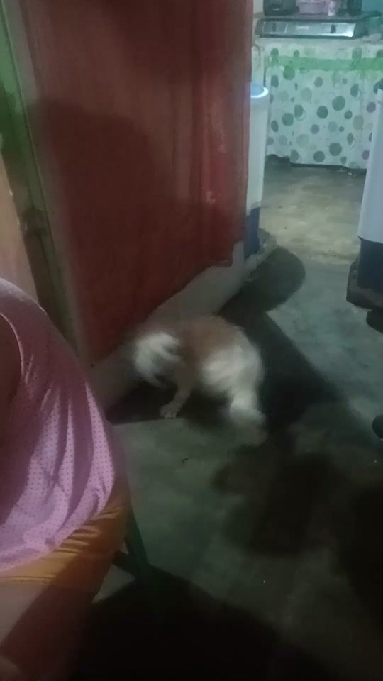TikTok video thumbnail by ninochristlantaca0962