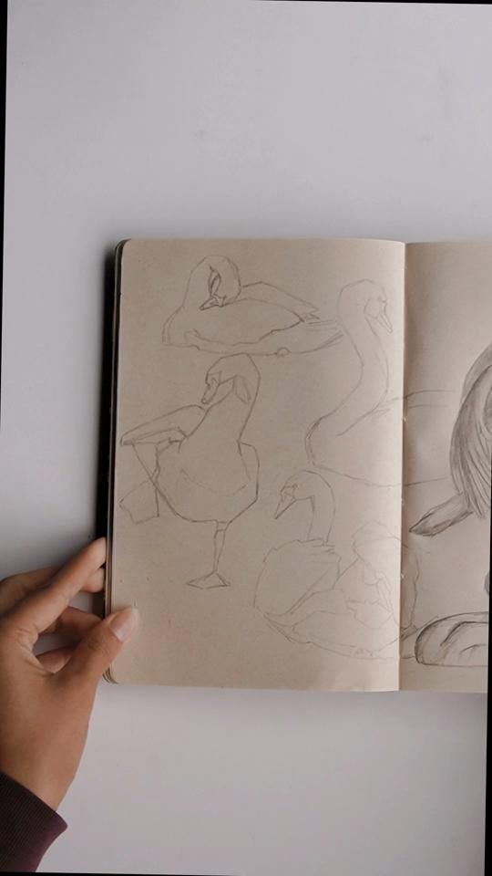 TikTok video thumbnail by soyeliart