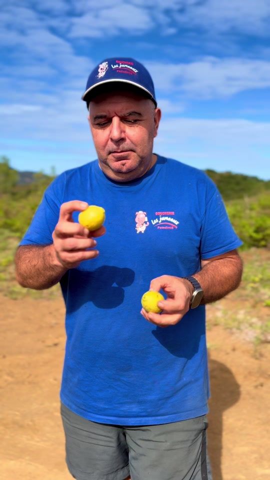 TikTok video thumbnail by patrickwatanabe2