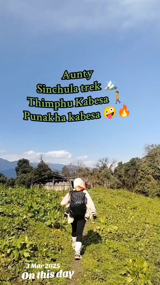 TikTok video thumbnail by auntyboring