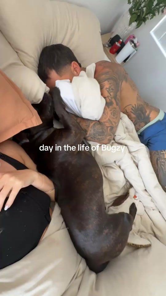 TikTok video thumbnail by bugzythestaffy