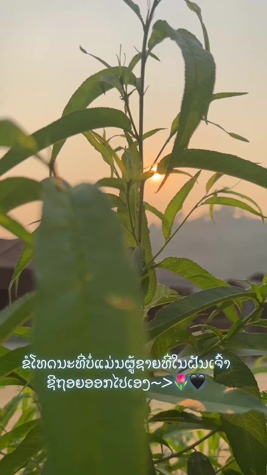 TikTok video thumbnail by alng....88
