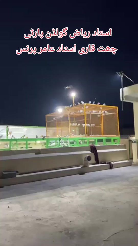 TikTok video thumbnail by azharshah5174