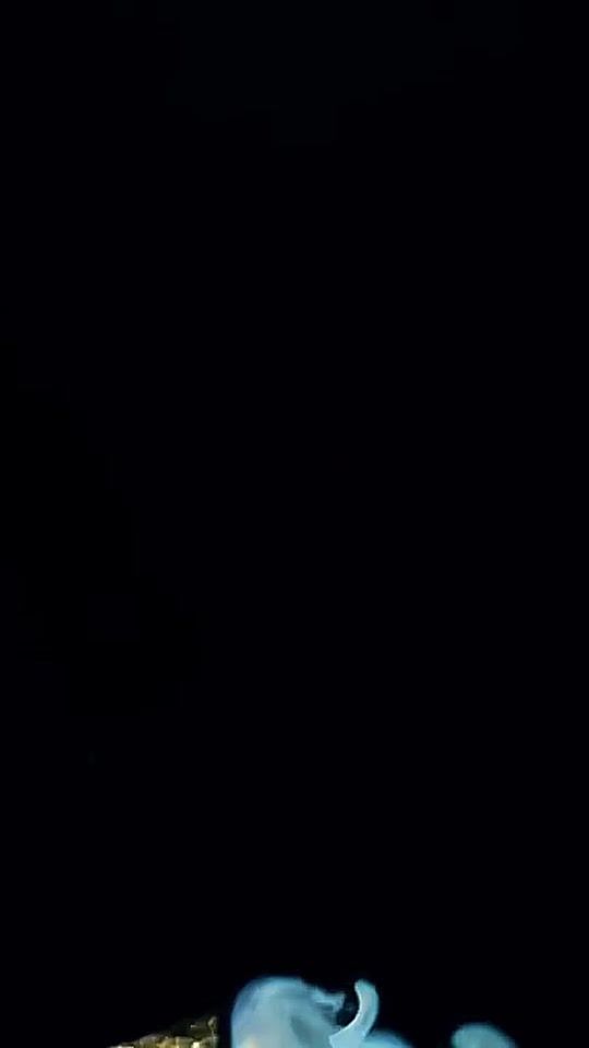 TikTok video thumbnail by algerian_in_emirates