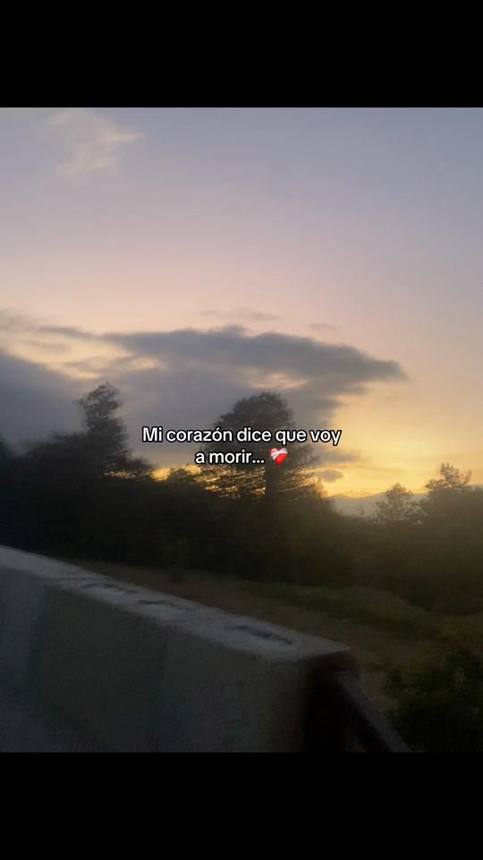 TikTok video thumbnail by yani62.5