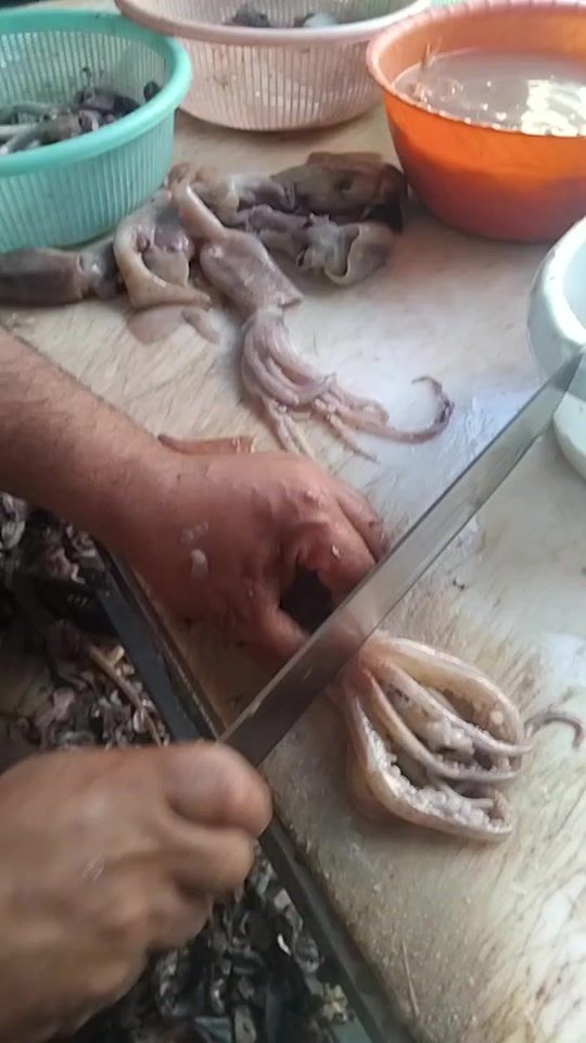 TikTok video thumbnail by brahimboutahri0