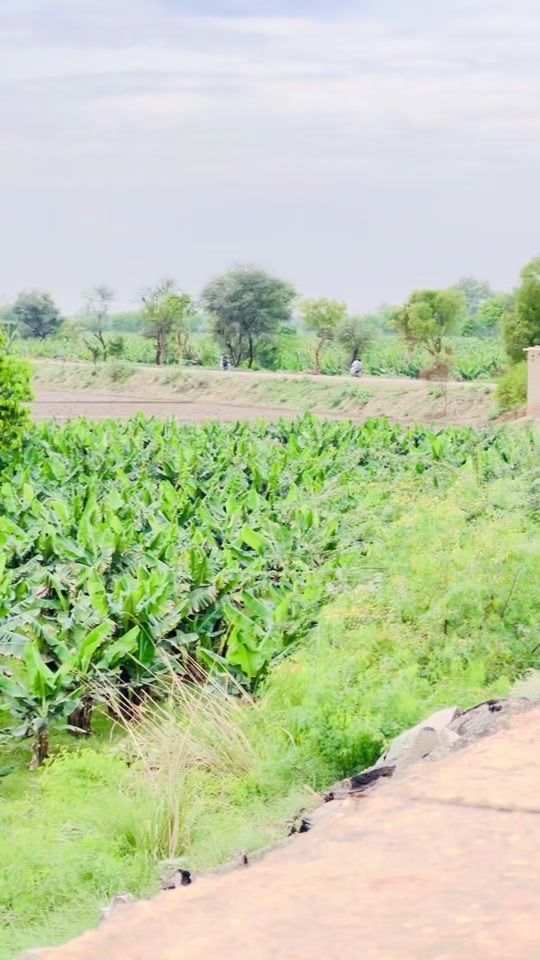 TikTok video thumbnail by baloch__king35