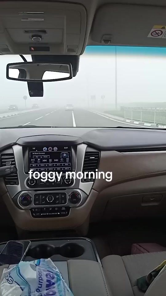 TikTok video thumbnail by palomajulia08