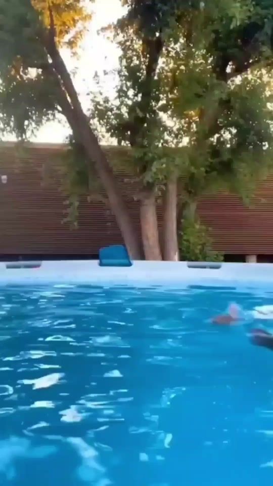 TikTok video thumbnail by v035924