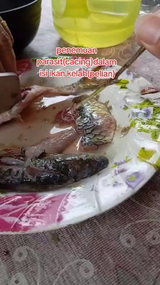 TikTok video thumbnail by jasonjoe79