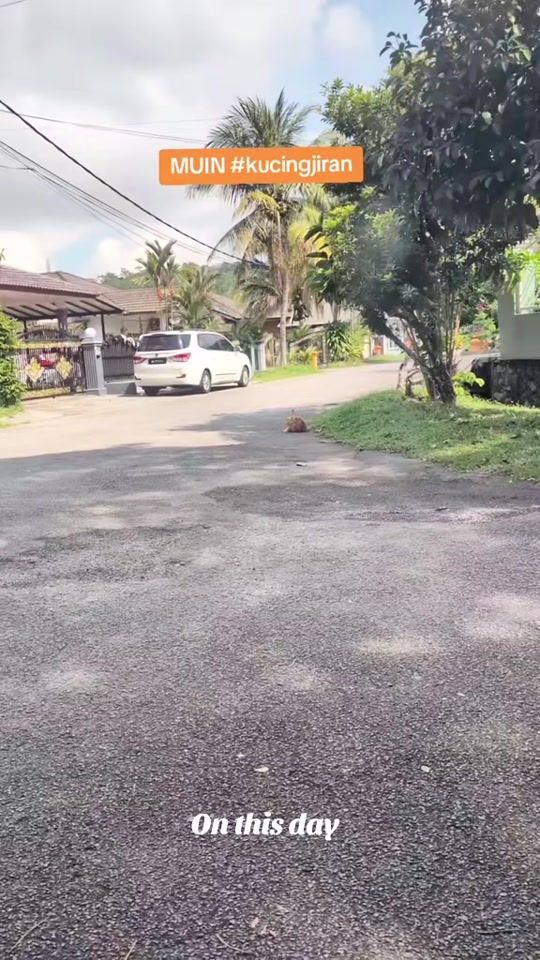 TikTok video thumbnail by kujiecats