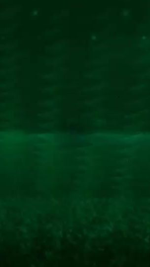 TikTok video thumbnail by tdmascrc