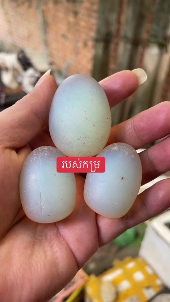 TikTok video thumbnail by cola888999