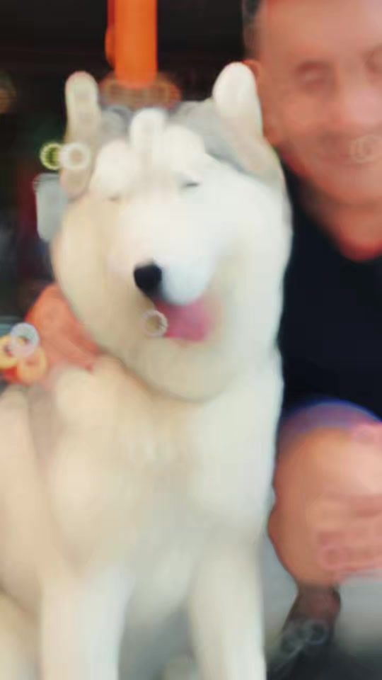 TikTok video thumbnail by khon7788998