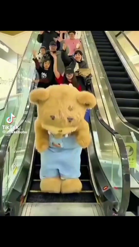 TikTok video thumbnail by k5614rainwu