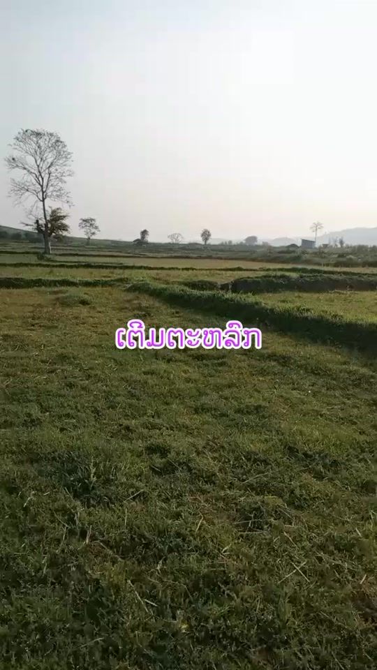 TikTok video thumbnail by user1072479818838