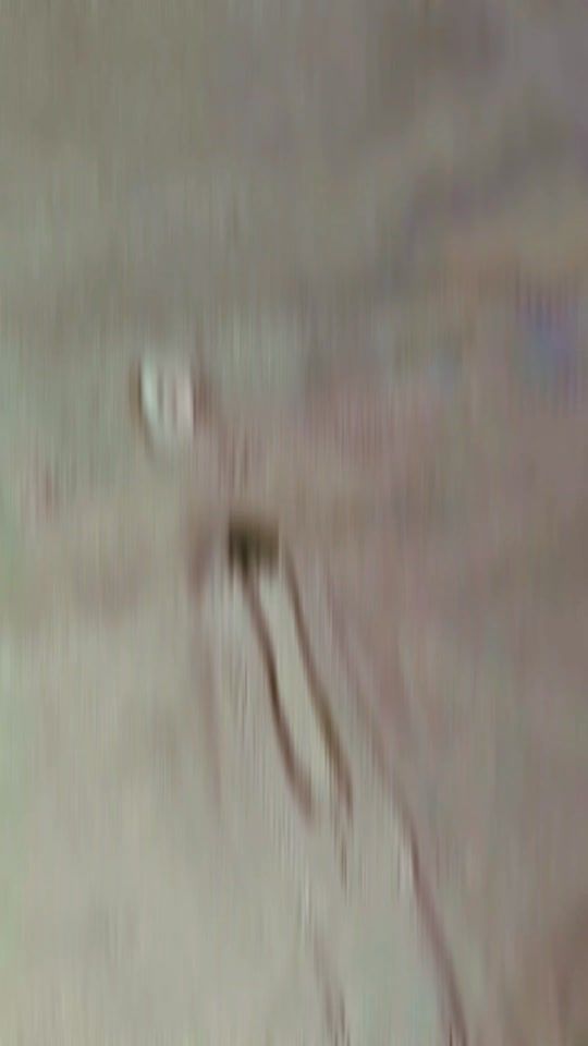 TikTok video thumbnail by jamestailor.azeem
