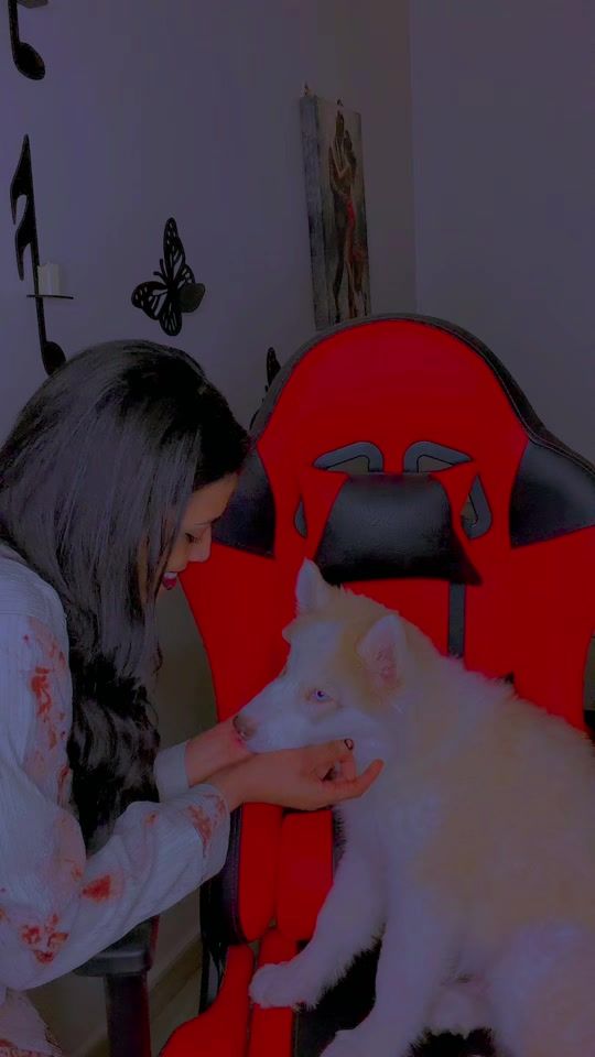 TikTok video thumbnail by saharkoki