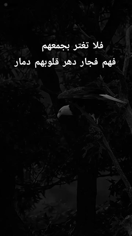 TikTok video thumbnail by dam_s