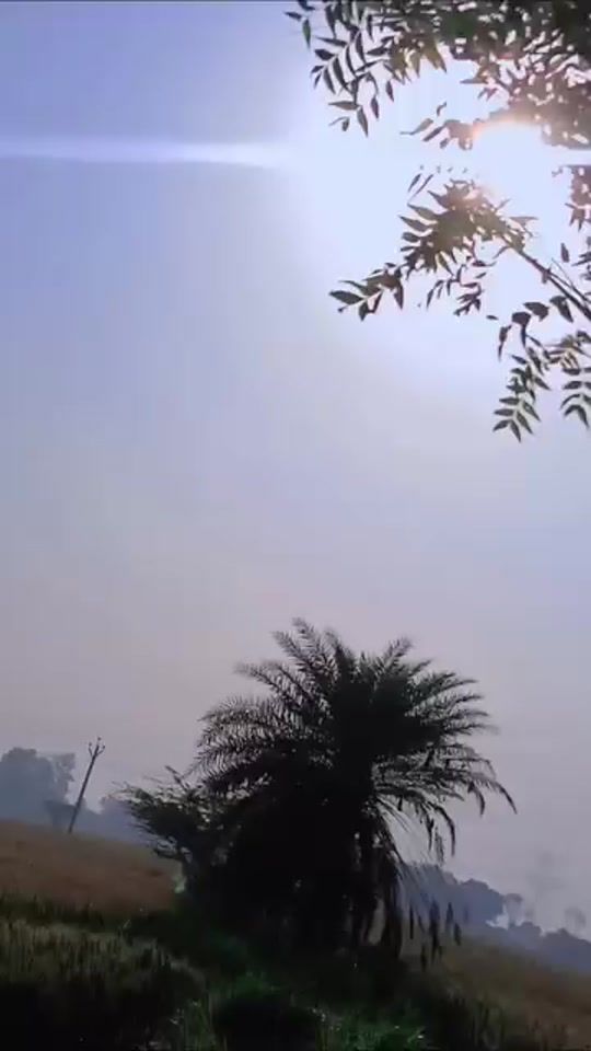 TikTok video thumbnail by prinka340