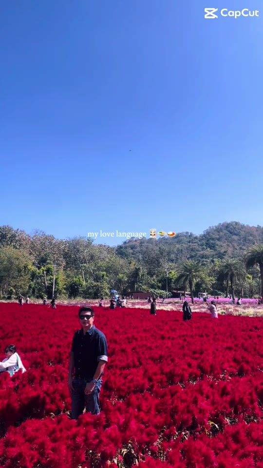 TikTok video thumbnail by jane_732563