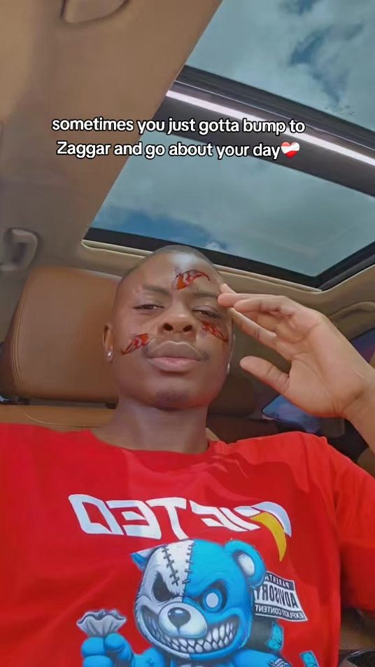 TikTok video thumbnail by chicky_choolwe
