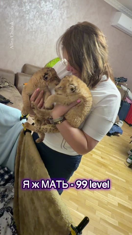 TikTok video thumbnail by alina_chubuk