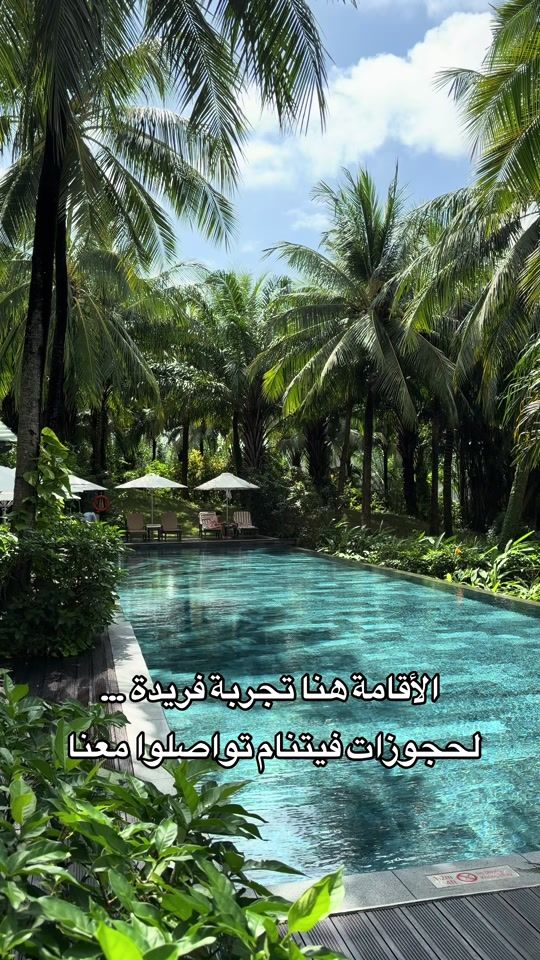TikTok video thumbnail by msw.tours