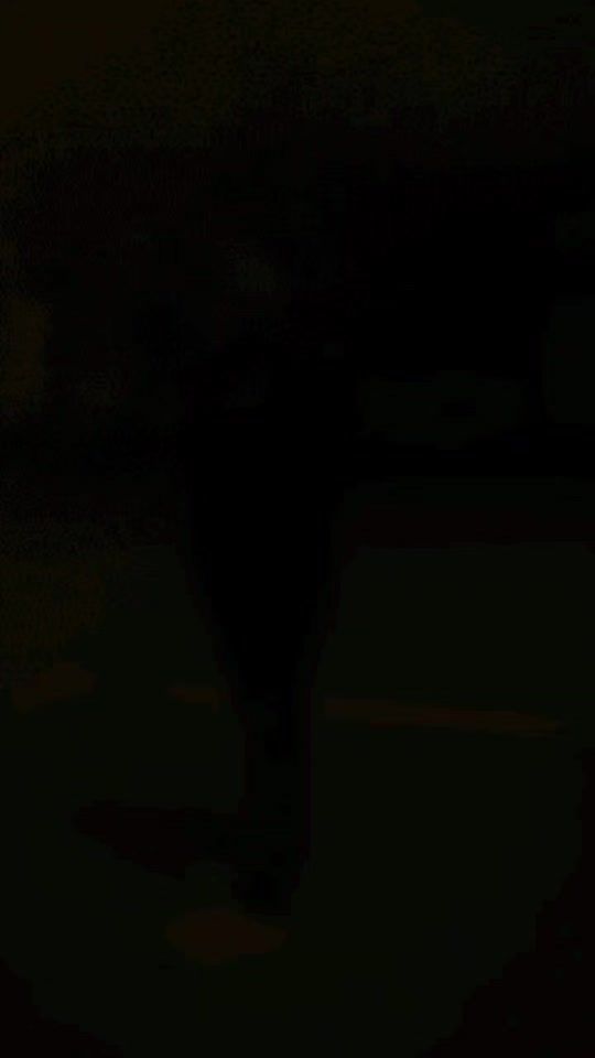 TikTok video thumbnail by thirth4566