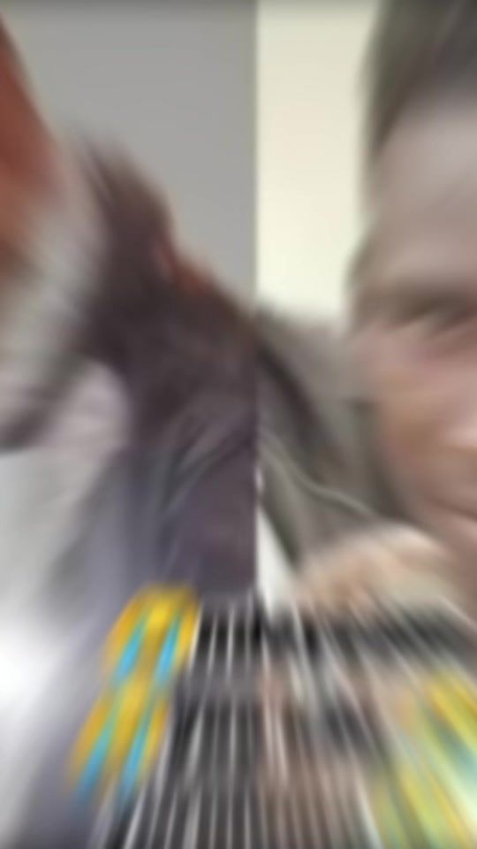 TikTok video thumbnail by mollosy