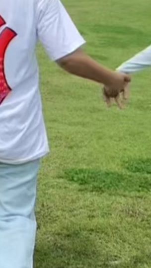 TikTok video thumbnail by boo.pye