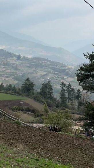 TikTok video thumbnail by teepee559