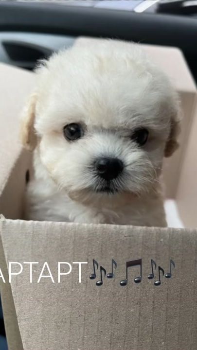 TikTok video thumbnail by seok.st