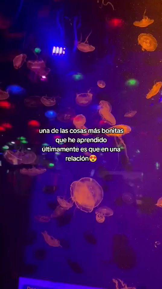 TikTok video thumbnail by moisali1208