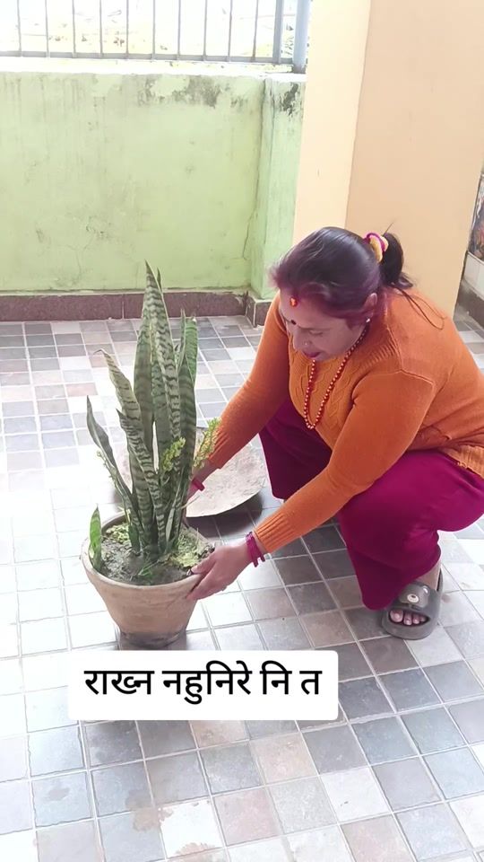 TikTok video thumbnail by rita_sitaula