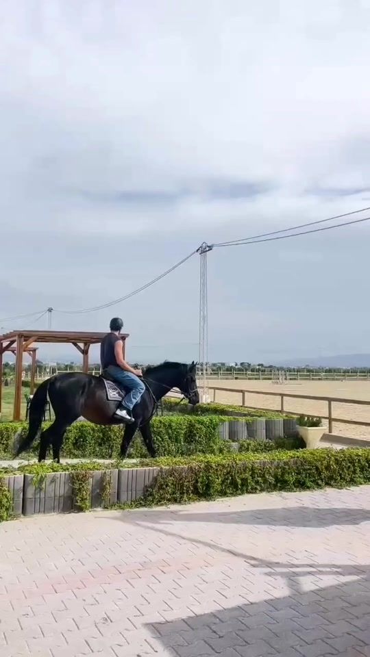 TikTok video thumbnail by fares.abdeddayem7
