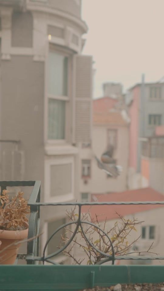 TikTok video thumbnail by baris.celiik
