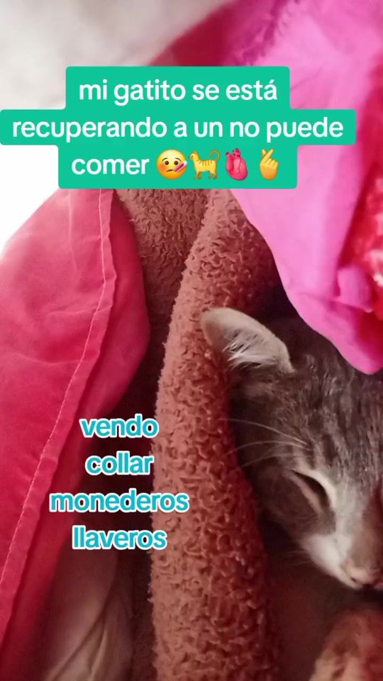 TikTok video thumbnail by pamelasol09