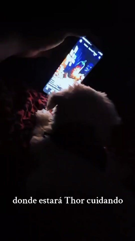 TikTok video thumbnail by jorgeneon15