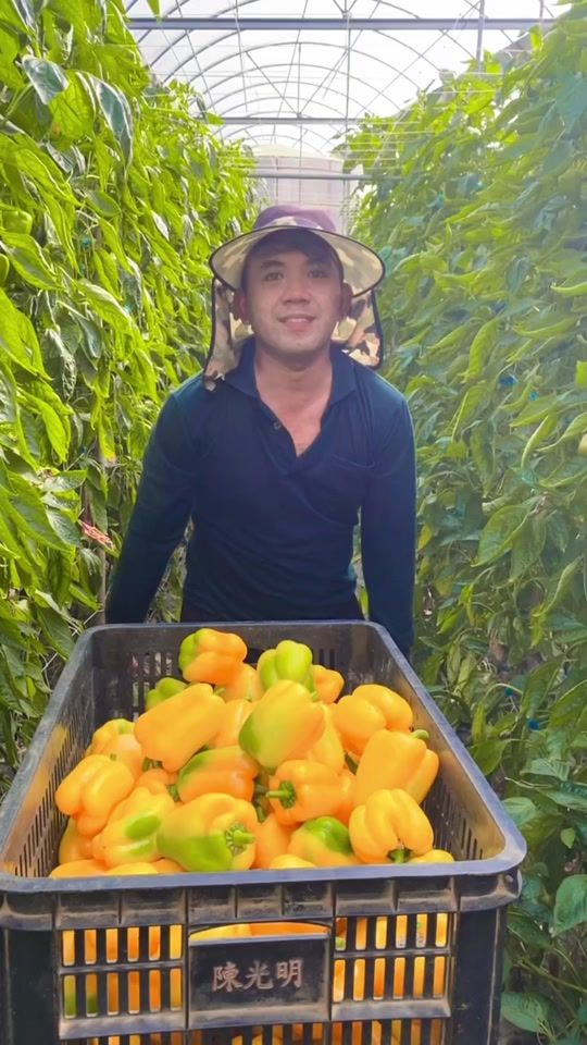 TikTok video thumbnail by dimas_aliyu